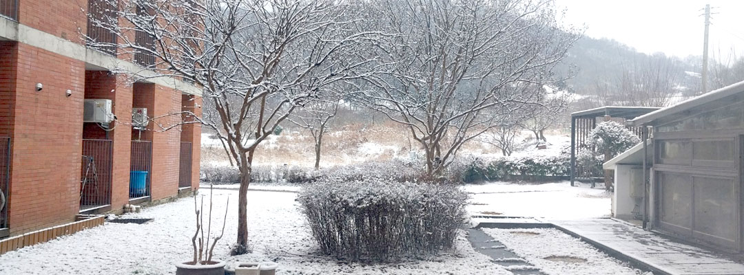 �ǳ����� �ٶ� �� �ܿ� ǳ��